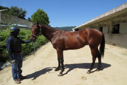 �긮��ġ�� ����