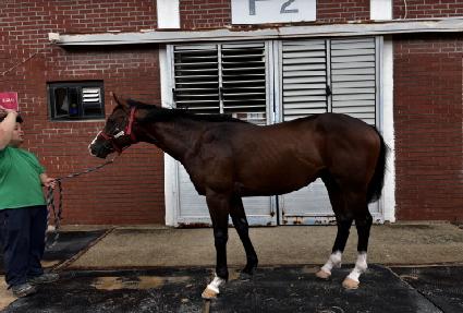 �긮������ ����