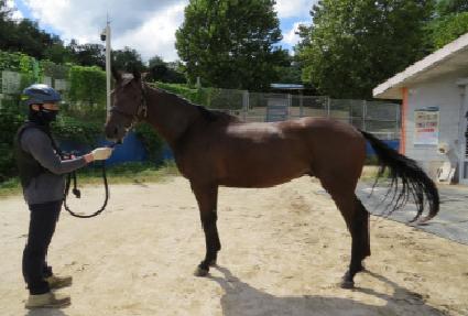 �긮���Ǵн� ����