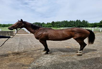 ��η��� ����