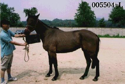 ���� ����