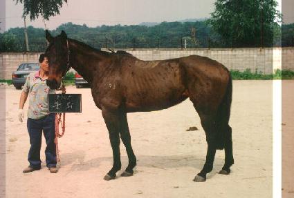 ���� ����