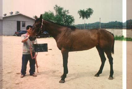 ���� ����