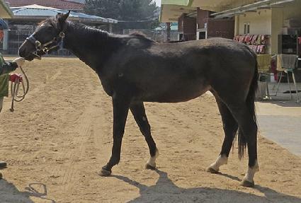 ââ�轺 ����