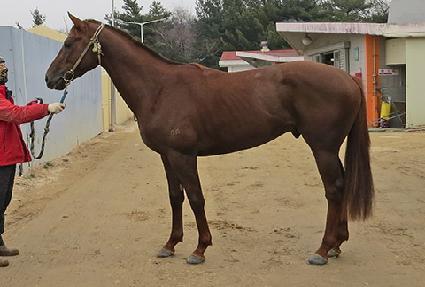 �۷θ���Ƽ ����