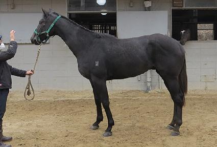 ���ۼ��� ����