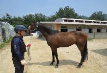 ����Ƽ���� (MIGHTY FREE) ����