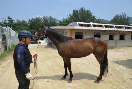 ����Ƽ���� ����