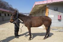 ���� (NEW BORN) ����