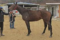 �����̸��� (MK MOJJI) ����