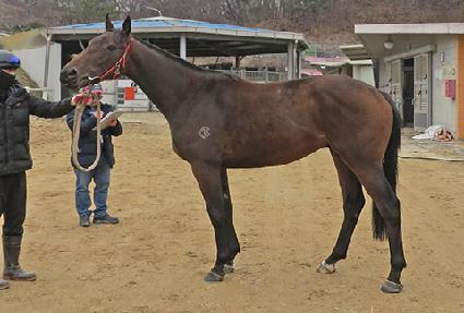 �����̸��� ����