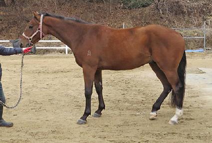 ���� ����