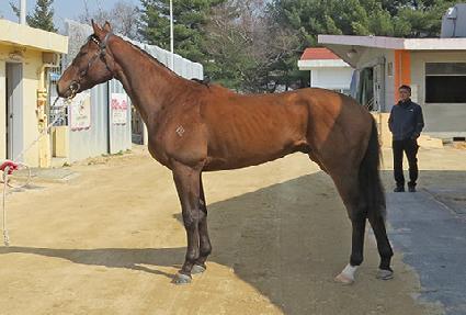 õ�ն��̾� ����