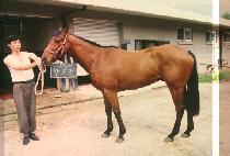 ������ (WANG WI JEUN) ����