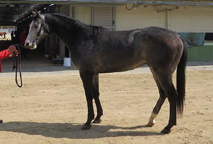 �׷���ĵ�� ����