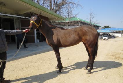 �����ֿ̹� ����