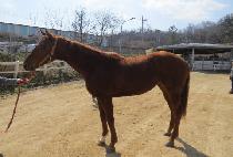 �����ϸ������� (SMILING PRINCE) ����