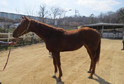 �����ϸ������� ����