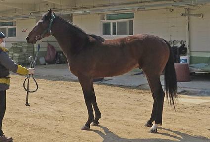 ���Ǵ�ĭƮ ����