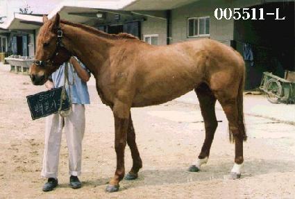 ���ϱ⵵ ����