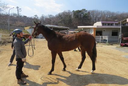 ��Ű����ũ ����