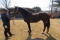 ����ũ��� (MOONHAK CROWN) ����