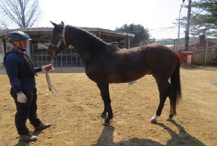 ����ũ��� ����