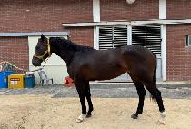 ���������� (SONGJEONG TODAY) ����