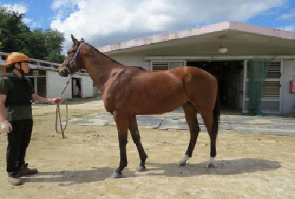 ����ġŸ�̰� ����