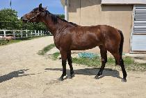 ���������� (QUEEN��S TODAY) ����