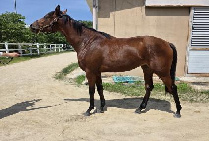 ���������� ����