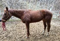 �Ǵ�ƼƲ�� (TAP THE TITTLES) ����