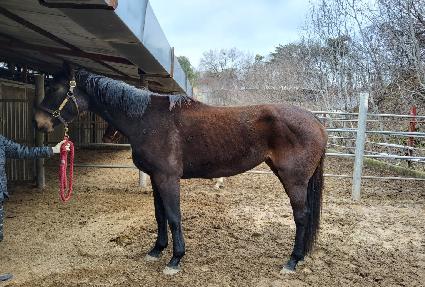 ��Ƽ���� ����