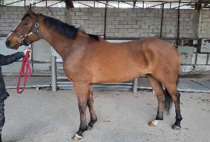 ����ȣ�ٽ� ����