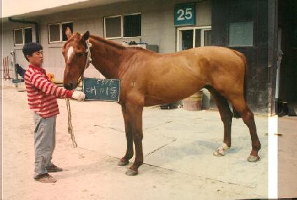 ���̵� ����