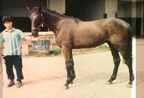 �����ĵ� (SE CHAN PA DO) ����