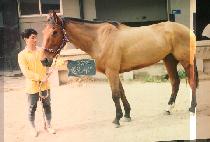 �������� (YEUL LIN SE SANG) ����