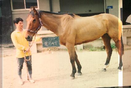 �������� ����