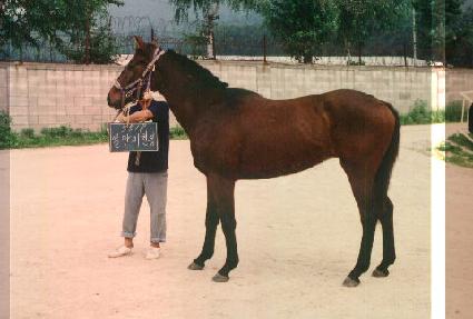 �ϸ���õ�� ����