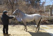 GEOLJAK YUNSEUL picture