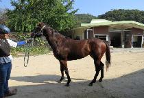 Ʈ���ÿ��� (TRIPLE S) ����