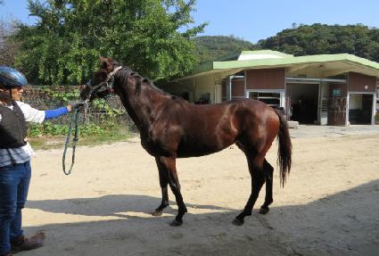 Ʈ���ÿ��� ����