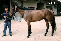 ����ȸ�� (CHIK GEUP HWE RO) ����