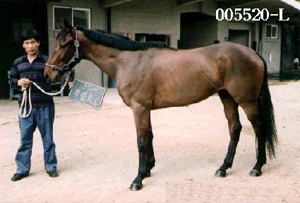 ����ȸ�� ����