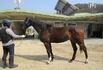 URIUI GIPPEUM picture