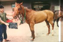 ���ɻ�� (MA RYOUNG SAN MAEK) ����