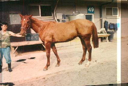 Ȳ���� ����