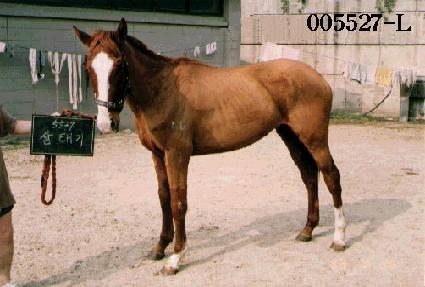 ���±� ����