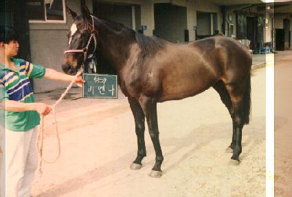 �񿣳� ����