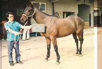 ���� (MYONG KUNG) ����